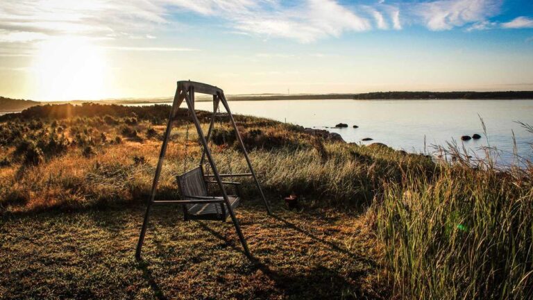 How Do You Start Playing Games On Cricbet99?